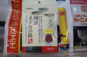 DSC01175.JPG