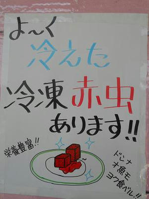 DSCN6961.JPG
