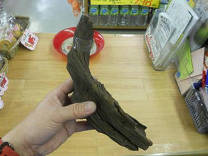 DSCN6977.JPG