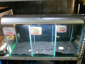 DSCN6979.JPG