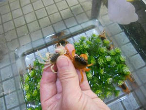 DSCN6998.JPG