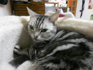DSCN0017.JPG
