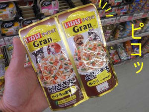 DSCN7047.JPG