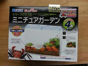 20130615_120547.jpg