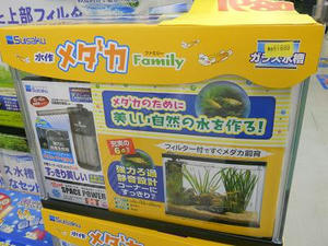 DSCN7073.JPG