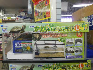 DSCN7074.JPG