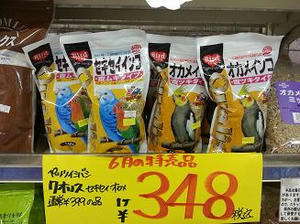 20130619_125305.jpg