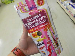 DSCN7094.JPG