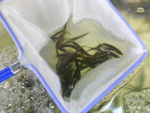 DSCN7097.JPG