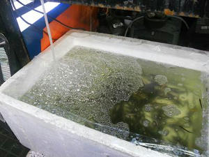 DSCN7100.JPG