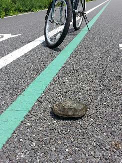 20130702_130437.jpg