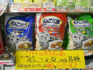 DSCN7104.JPG