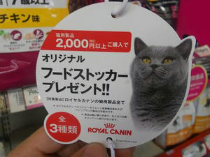 DSCN7110.JPG