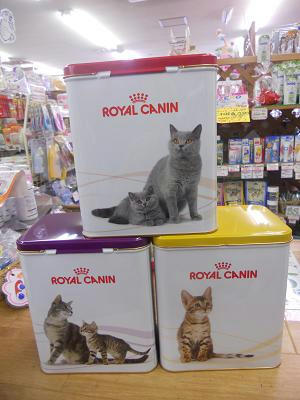 DSCN7111.JPG