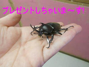 DSCN7117.JPG