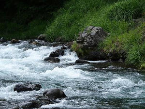 P7010441.JPG