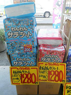 DSCN7118.JPG