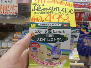 DSCN7132.JPG