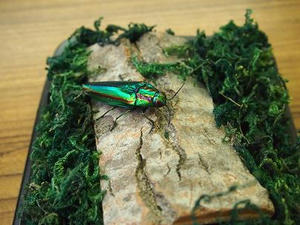 P8020101.JPG