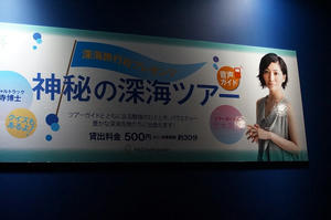 DSC01361.JPG
