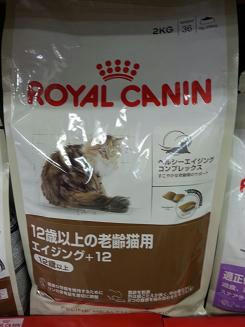 20130815_144342.jpg