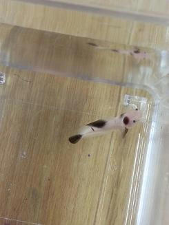 20130821_125256.jpg