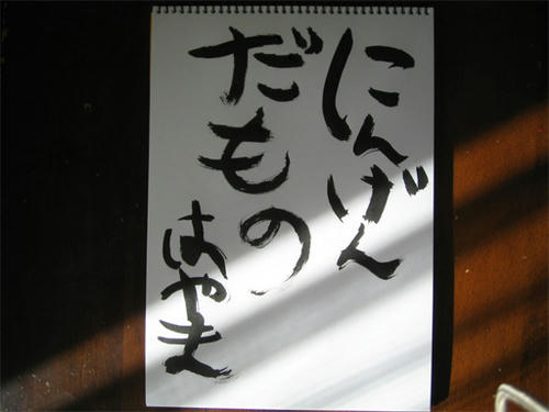 hayama.jpg