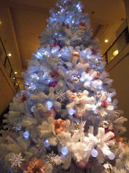 08112102.jpeg