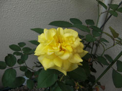 09060703