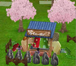 hanami.jpg