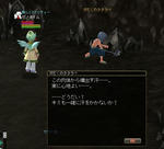 20100211xeno04.jpg