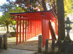 20101124sun01.jpg
