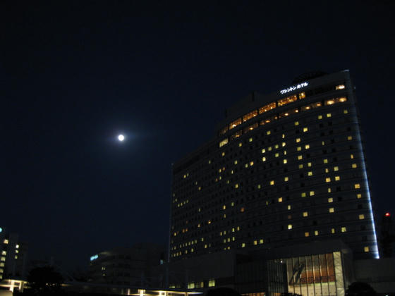 IMG_2377.JPG