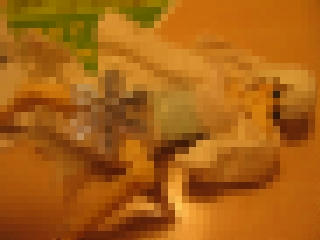 aa071d2e.jpeg
