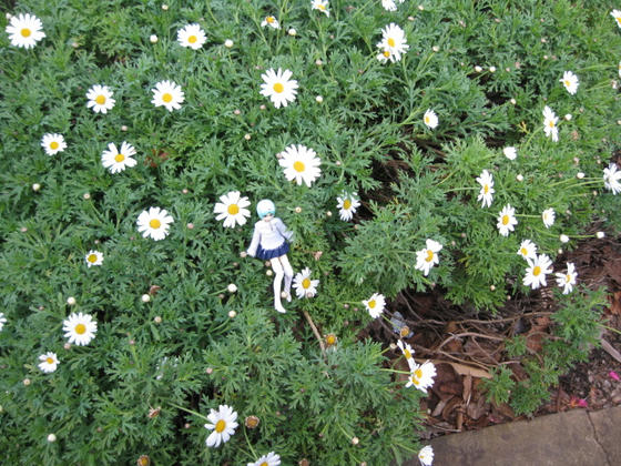 IMG_3943.JPG