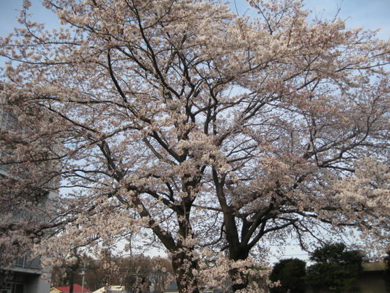 IMG_6898.JPG