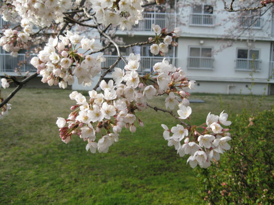 IMG_6905.JPG
