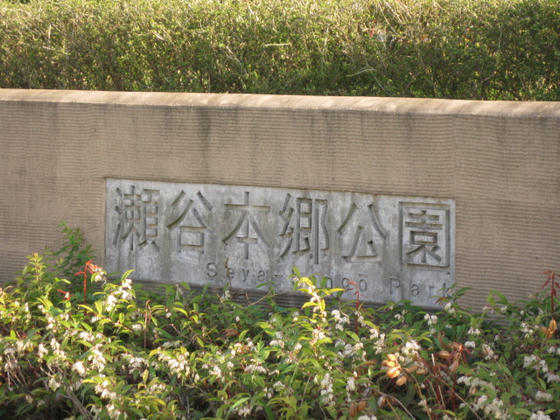 IMG_8427.JPG