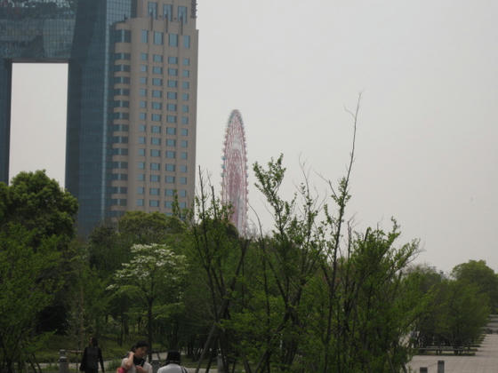 IMG_8937.JPG
