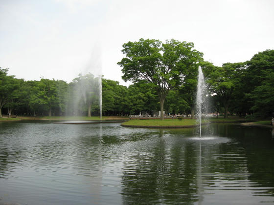 IMG_0747.JPG