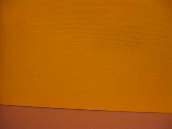 IMG_0386.JPG