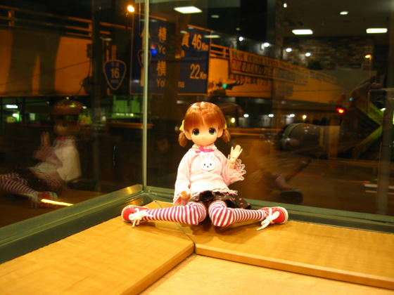 IMG_8684.JPG