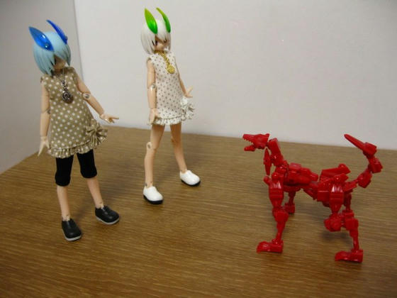IMG_2257.JPG