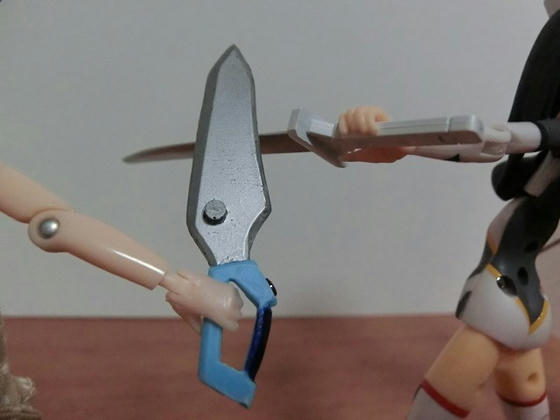 CIMG0111.JPG