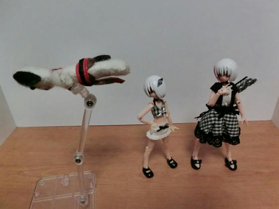 1627048a.jpeg