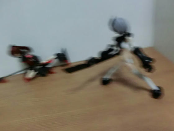 CIMG0146.JPG