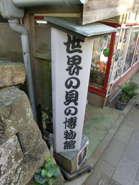 CIMG0276.JPG