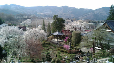 20080405160027.jpg