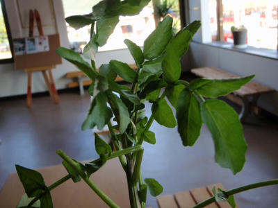 PB010337.JPG