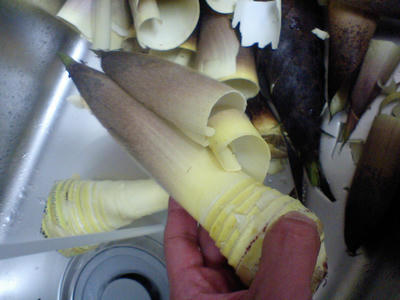 CA380046.jpg